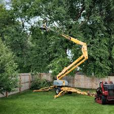 Best Storm Damage Tree Cleanup  in South Zanesville, OH