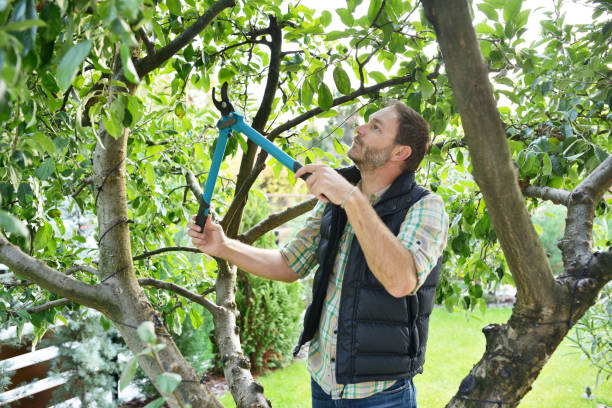 Best Hedge Trimming  in South Zanesville, OH